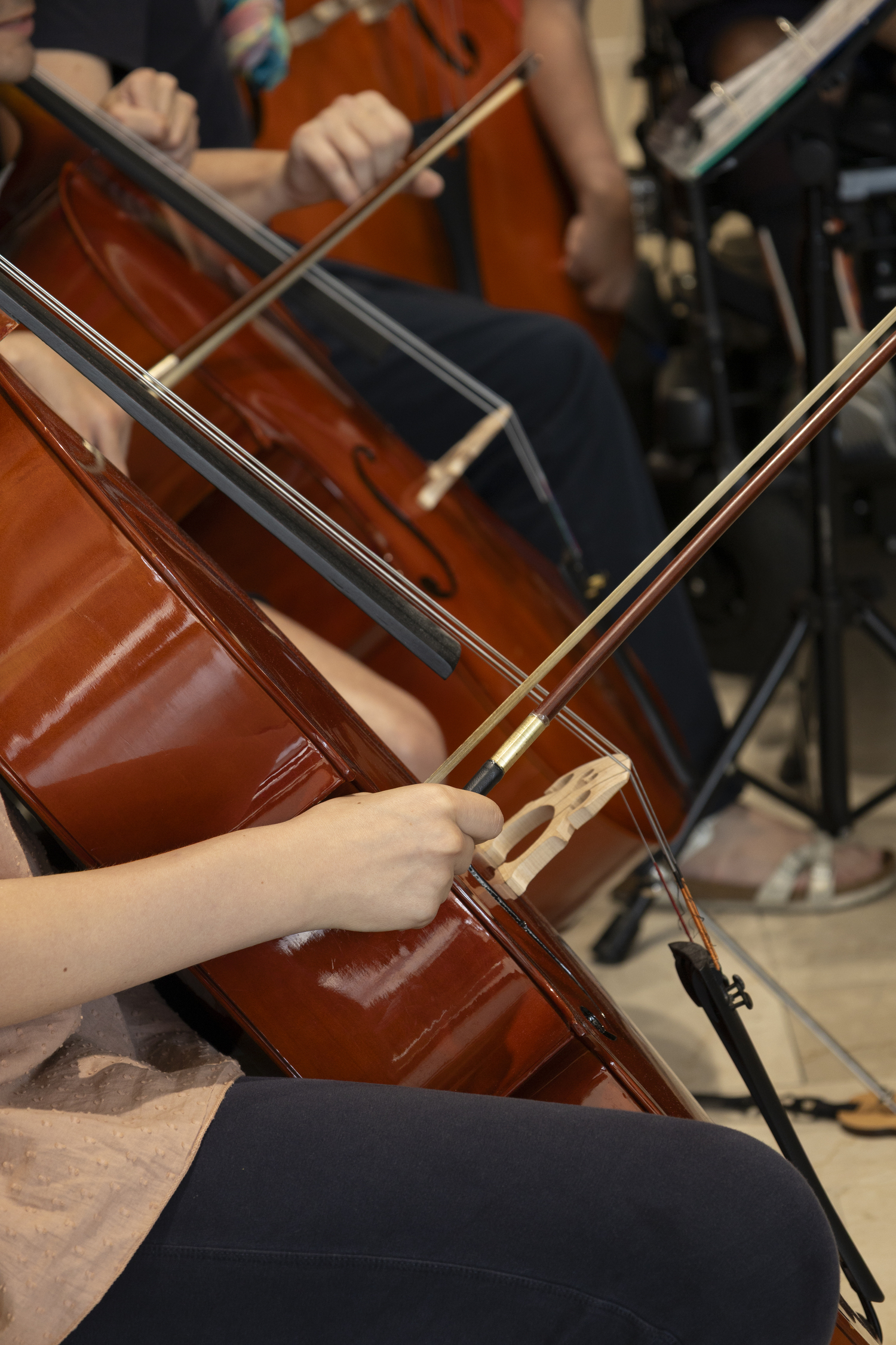 Orchestra Giovanile Bresciana